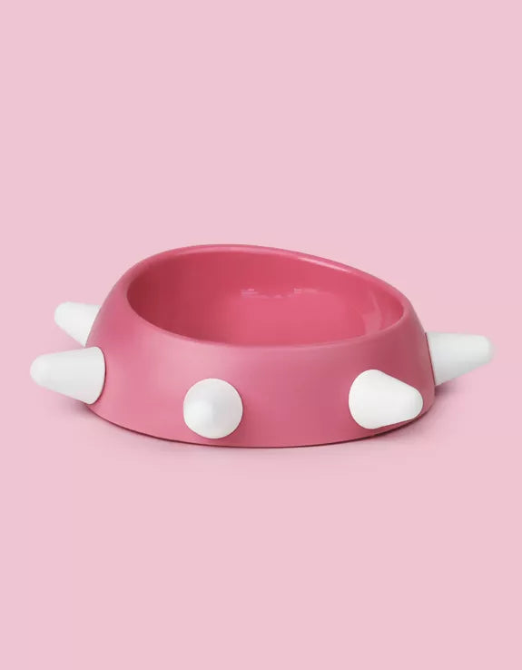 Eco-friendly sloping bowl for dogs
