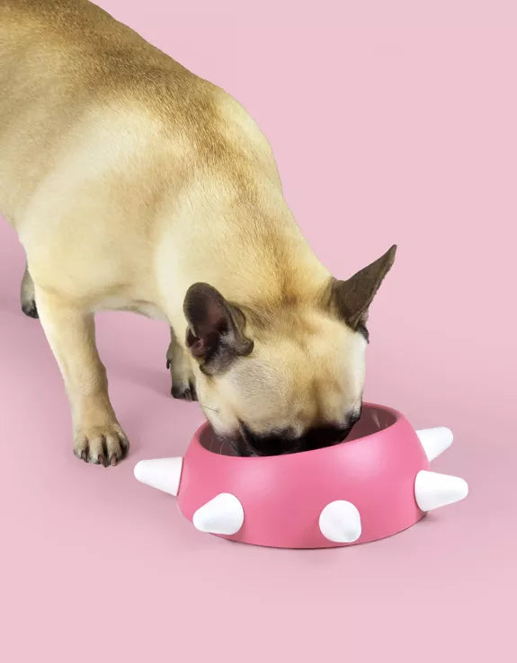 Eco-friendly sloping bowl for dogs