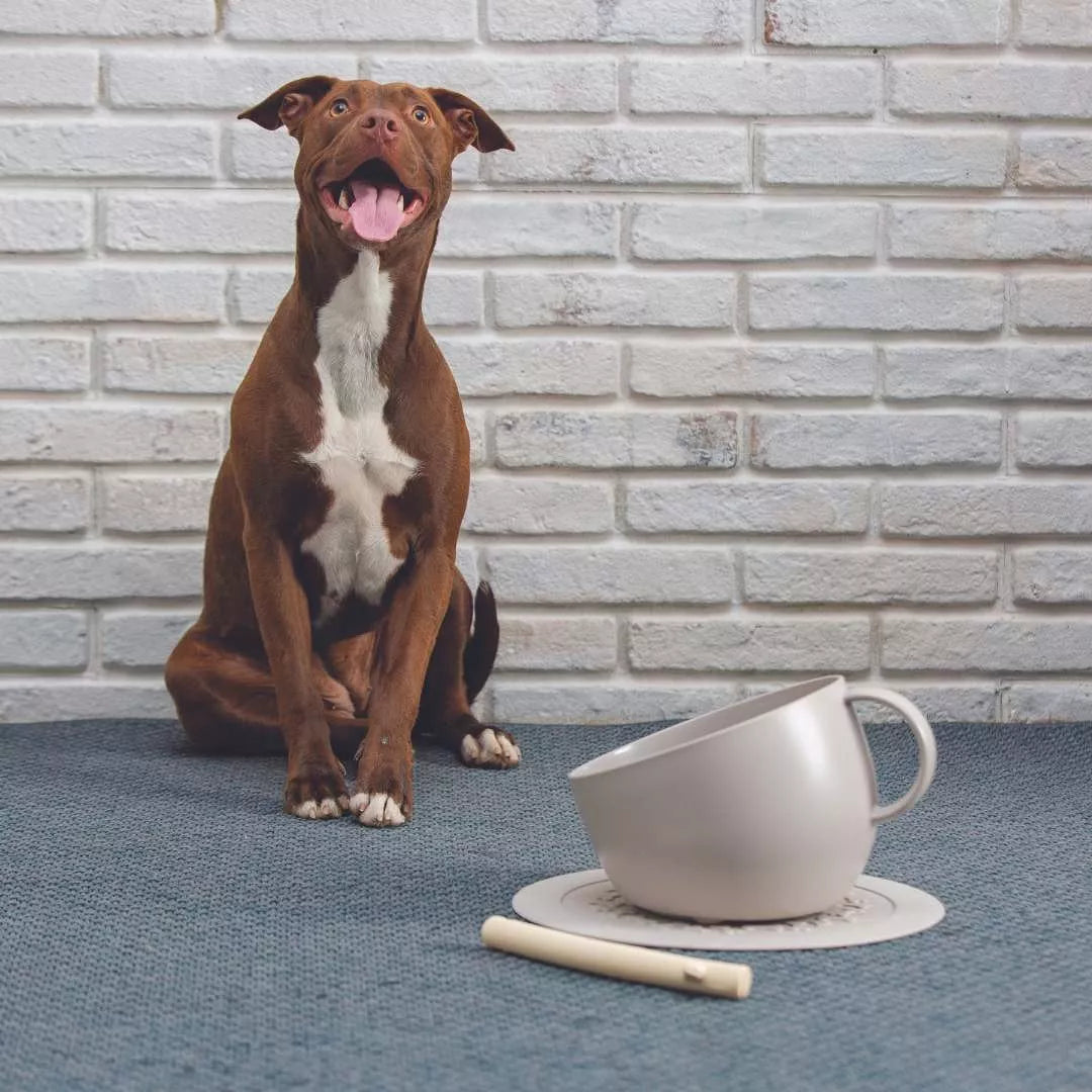 Set of high anti-splash bowl and dove gray under-bowl mat