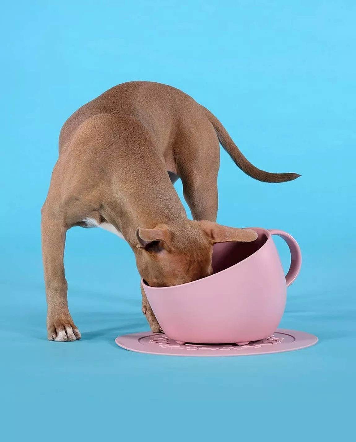Set of high anti-splash bowl and pink saucer mat