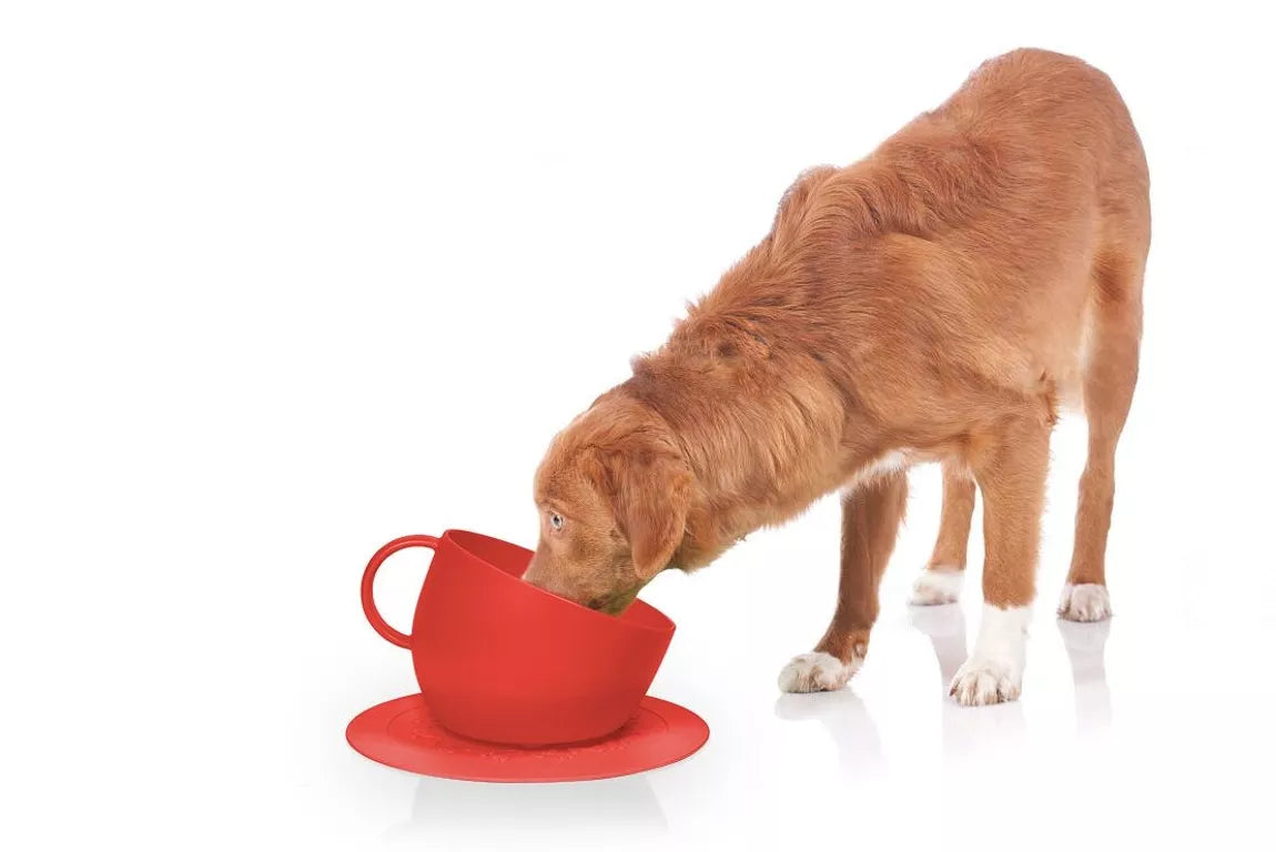 Set of high anti-splash bowl and red saucer mat