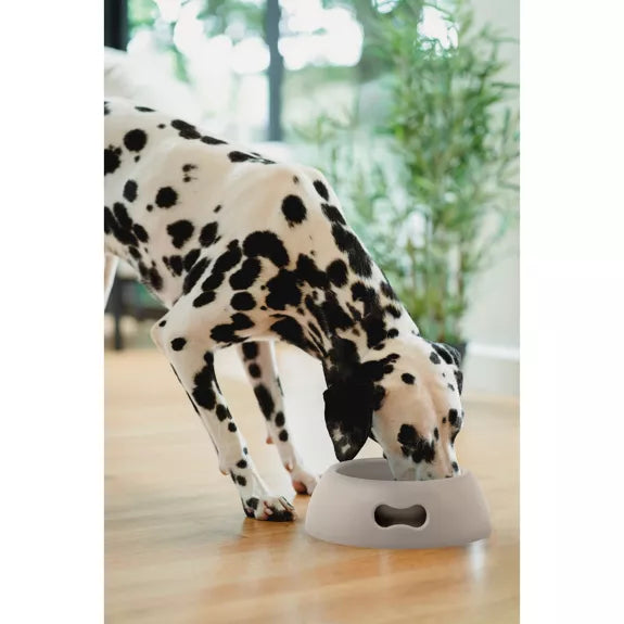 Indestructible eco-friendly bowl for dogs and cats - Lilla